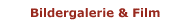 Bildergalerie & Film